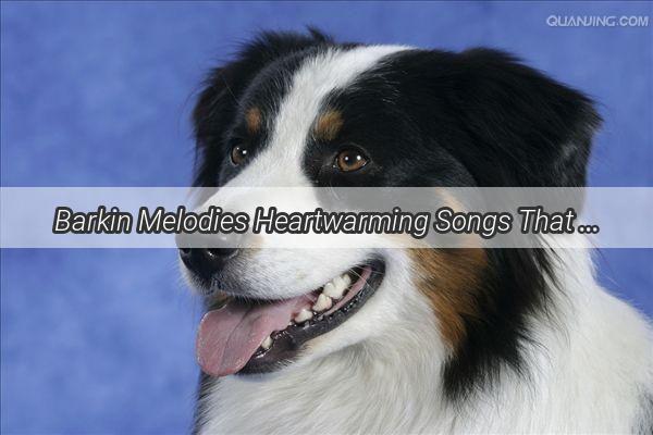 Barkin Melodies Heartwarming Songs That Speak Doggy Soul